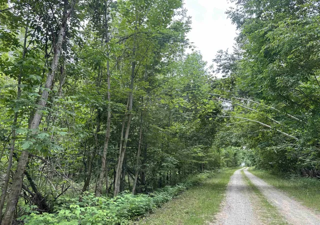 Photo 3 of Land for sale at 00 Antrim Dells Rd, Ellsworth, MI 49729 | MLS# 78080071868 | Listing updated on 2026-08-26