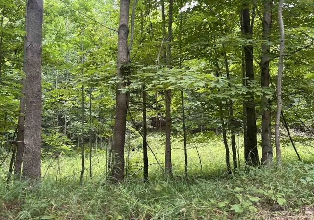 Photo 3 of Land for sale at 00 Antrim Dells Rd, Ellsworth, MI 49729 | MLS# 78080071868 | Listing updated on 2026-08-26