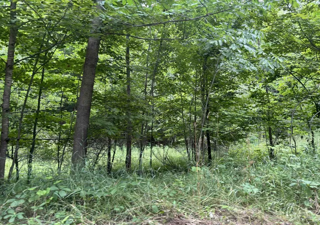 Photo 4 of Land for sale at 00 Antrim Dells Rd, Ellsworth, MI 49729 | MLS# 78080071868 | Listing updated on 2026-08-26