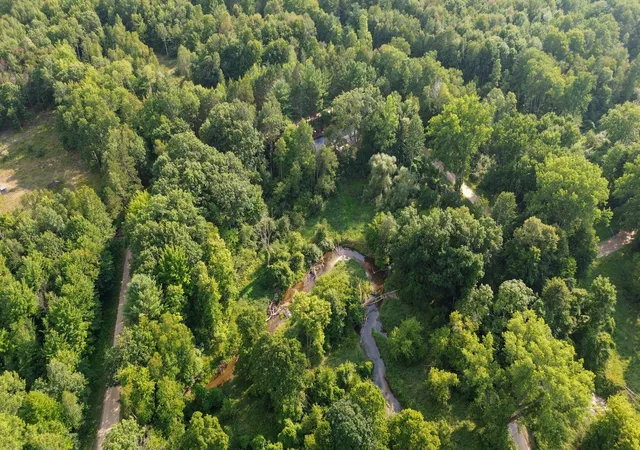 3rd image of 10013 E Beal City Rd, Mount Pleasant, MI 48858 | MLS# 72026040293