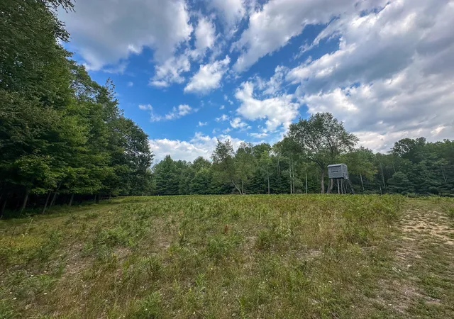 4th image of 10013 E Beal City Rd, Mount Pleasant, MI 48858 | MLS# 72026040293