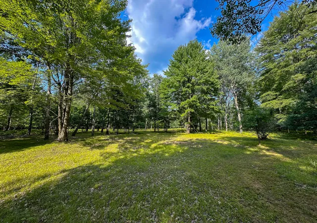 5th image of 10013 E Beal City Rd, Mount Pleasant, MI 48858 | MLS# 72026040293