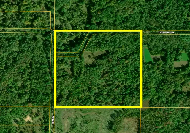 60th image of 10013 E Beal City Rd, Mount Pleasant, MI 48858 | MLS# 72026040293
