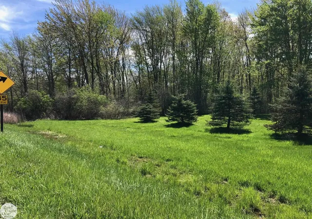 Photo 3 of Land for sale at 0 Meisner Rd, China Township St Clair, MI 48054 | MLS# 58050217216 | Listing updated on 2026-08-04