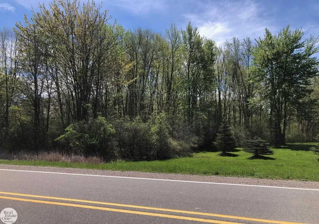 Photo 3 of Land for sale at 0 Meisner Rd, China Township St Clair, MI 48054 | MLS# 58050217216 | Listing updated on 2026-08-04