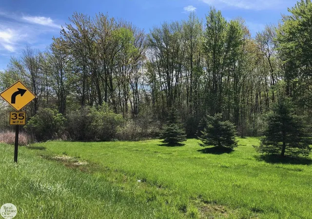 Photo 4 of Land for sale at 0 Meisner Rd, China Township St Clair, MI 48054 | MLS# 58050217216 | Listing updated on 2026-08-04