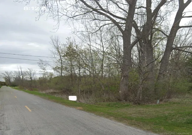 1st image of 0 S 11 Mile Rd, Linwood, MI 48634 | MLS# 58050217260