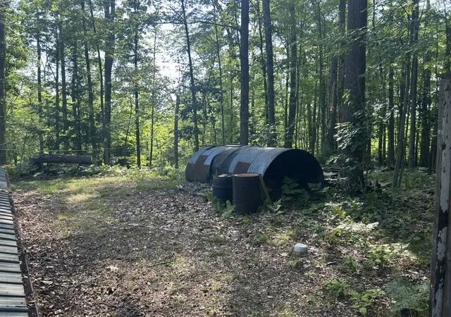 24th image of 9841 River Rd, Mecosta, MI 49332 | MLS# 72026040362
