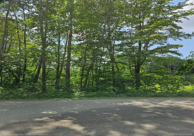 Photo 3 of Land for sale at Vl Lakeside, Plainfield Township Iosco, MI 47839 | MLS# 20261061012 | Listing updated on 2026-09-17