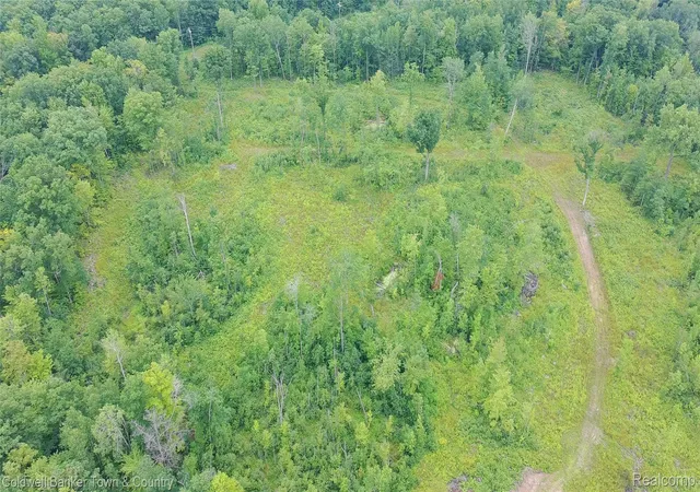 Photo 4 of Land for sale at Vl Lakeside, Plainfield Township Iosco, MI 47839 | MLS# 20261061012 | Listing updated on 2026-09-25