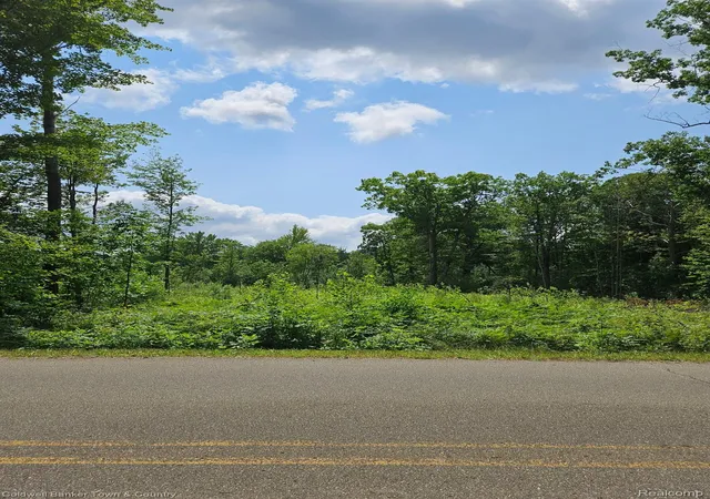 6th image of Vl Lakeside, Plainfield Township Iosco, MI 47839 | MLS# 20261061012