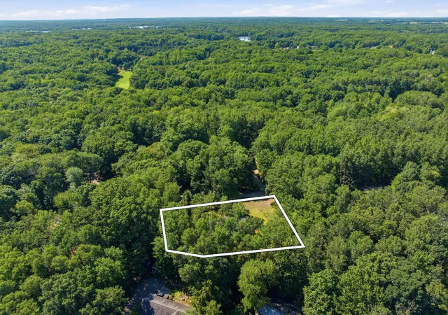 25th image of 9810 Birdie Dr, Stanwood, MI 49346 | MLS# 72026040414