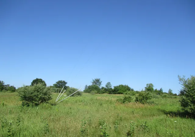 5th image of 329 N Washington St, Prescott, MI 48756 | MLS# 77080071913