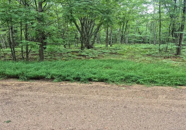1st image of 162 (lot 32) West Ridge Circle Circle, Rose Lake Township Osceola, MI 49655 | MLS# 20261061284