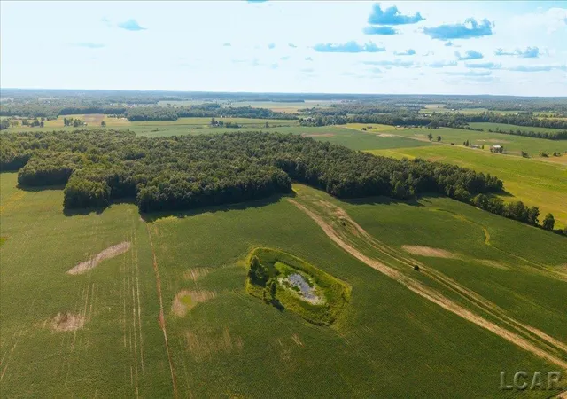 4th image of V/L S Pittsford Rd, Ransom Township Hillsdale, MI 49271 | MLS# 56050217372