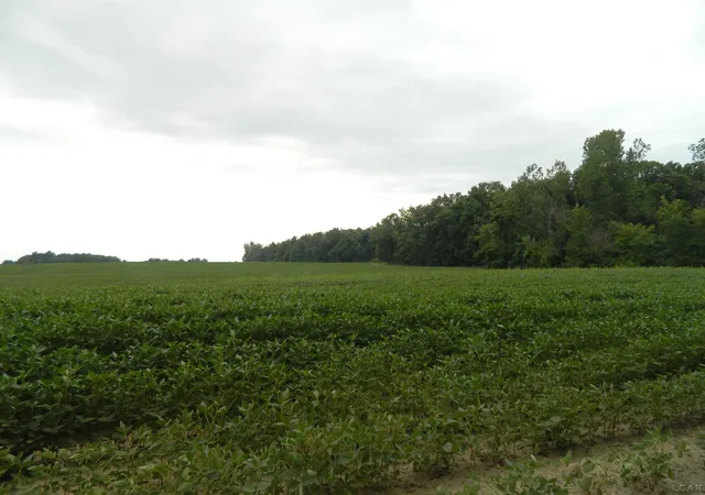 47th image of V/l S Pittsford Rd, Ransom Township Hillsdale, MI 49271 | MLS# 56050217372