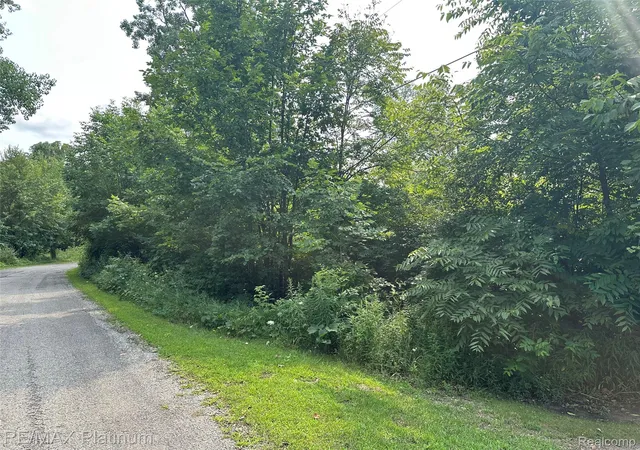 Photo 3 of Land for sale at W Peterson Dr, Brighton, MI 48114 | MLS# 20261061340 | Listing updated on 2026-08-15