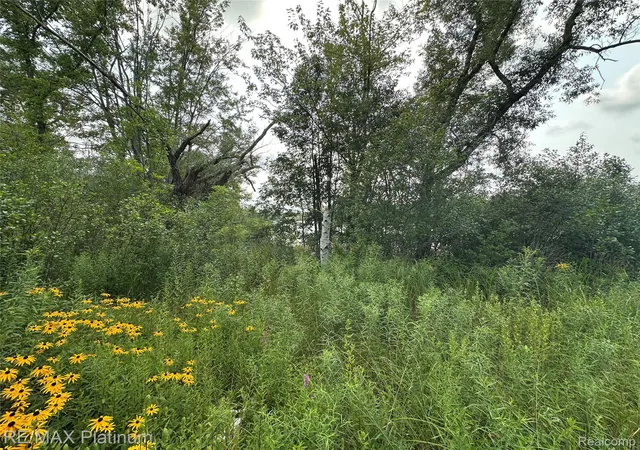 Photo 3 of Land for sale at W Peterson Dr, Brighton, MI 48114 | MLS# 20261061340 | Listing updated on 2026-08-15