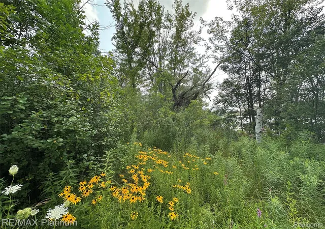 Photo 4 of Land for sale at W Peterson Dr, Brighton, MI 48114 | MLS# 20261061340 | Listing updated on 2026-08-15