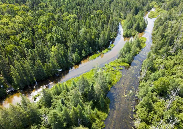 3rd image of 2406 Serenity Pnes, Grayling, MI 49738 | MLS# 78080071925