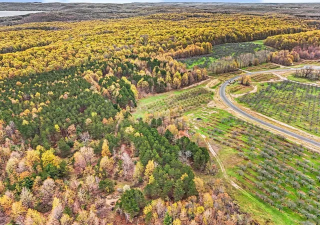 2nd image of Parcel 10 Karnes Rd, Empire Township Leelanau, MI 49636 | MLS# 78080071956