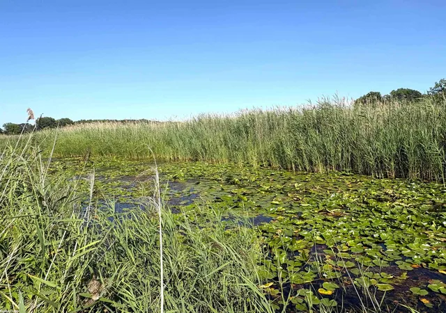 5th image of 2483 Roy Dr, Harsens Island, MI 48028 | MLS# 58050217520