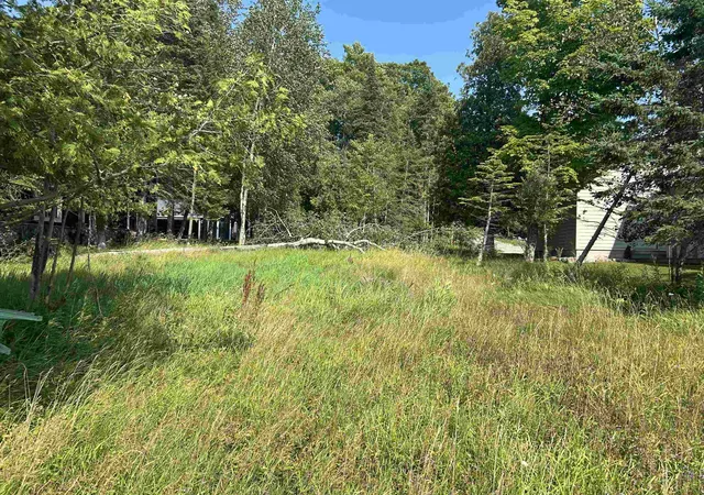 Photo 3 of Land for sale at Lots 5 & 20 Wak Wing Dr, Central Lake Township Antrim, MI 49622 | MLS# 78080071982 | Listing updated on 2026-08-31