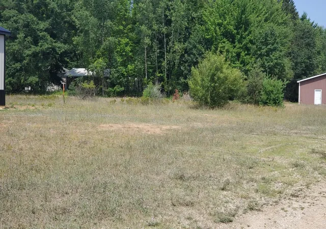 Photo 1 of Land for sale at 23 Muddy Cvs Ln, Garfield Township Clare, MI 48632 | MLS# 79080072021 | Listing updated on 2026-08-06
