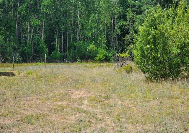 Photo 2 of Land for sale at 23 Muddy Cvs Ln, Garfield Township Clare, MI 48632 | MLS# 79080072021 | Listing updated on 2026-08-06