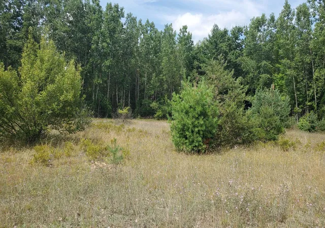Photo 3 of Land for sale at 23 Muddy Cvs Ln, Garfield Township Clare, MI 48632 | MLS# 79080072021 | Listing updated on 2026-08-06