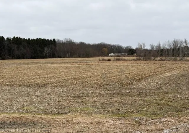 Photo 1 of Land for sale at Vl N Branch Rd, Deerfield Township Lapeer, MI 48461 | MLS# 20261062116 | Listing updated on 2026-08-06