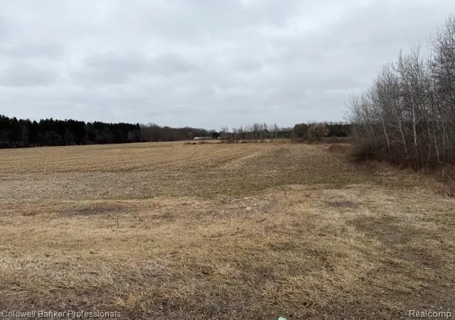 Photo 3 of Land for sale at Vl N Branch Rd, Deerfield Township Lapeer, MI 48461 | MLS# 20261062116 | Listing updated on 2026-08-06
