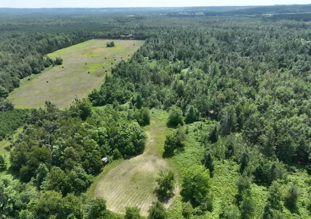 Photo 3 of Single family home for sale at 628 Badgley Rd, Vanderbilt, MI 49795 | MLS# 78080072029 | Listing updated on 2026-09-15