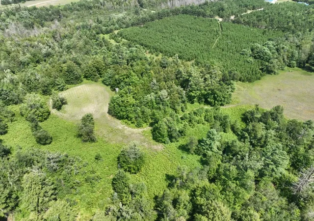Photo 4 of Single family home for sale at 628 Badgley Rd, Vanderbilt, MI 49795 | MLS# 78080072029 | Listing updated on 2026-09-15