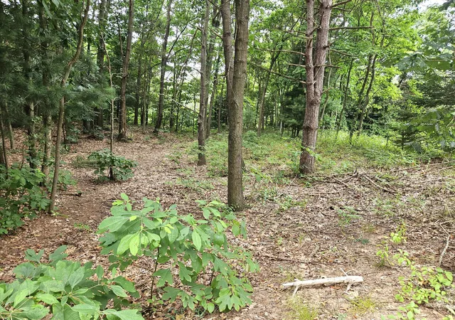 Photo 2 of Single family home for sale at 38050 78th Street, Covert, MI 49043 | MLS# 69026041086 | Listing updated on 2026-08-07