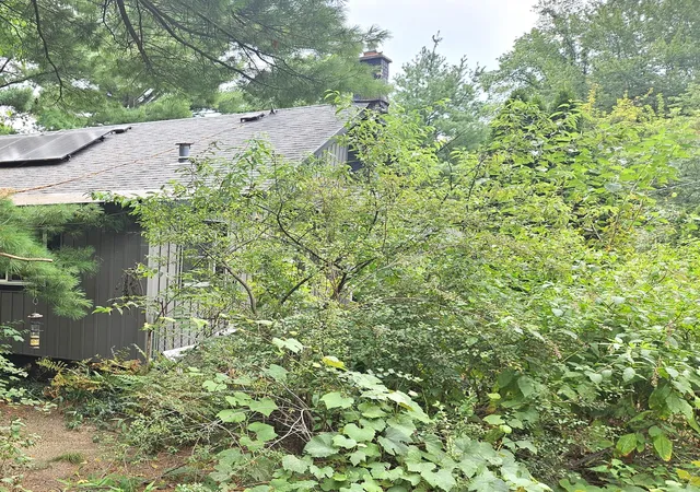 Photo 3 of Single family home for sale at 38050 78th Street, Covert, MI 49043 | MLS# 69026041086 | Listing updated on 2026-08-07