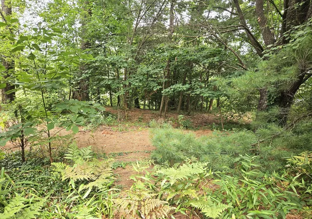 Photo 3 of Single family home for sale at 38050 78th Street, Covert, MI 49043 | MLS# 69026041086 | Listing updated on 2026-08-07