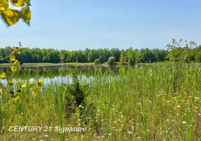 29th image of Lot 2 Swan Creek Rd, Hemlock, MI 48626 | MLS# 61050217714