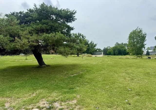 Photo 1 of Land for sale at 539 N Chestnut St, Owosso, MI 48867 | MLS# 5050217749 | Listing updated on 2026-08-07