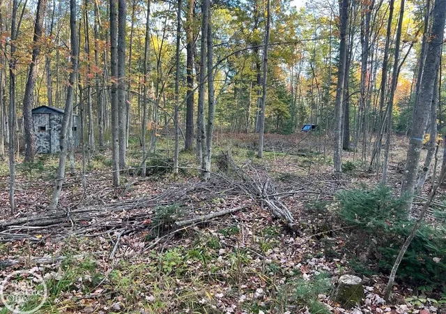 1st image of 00 Lansing Rd, Roscommon, MI 48653 | MLS# 58050217783