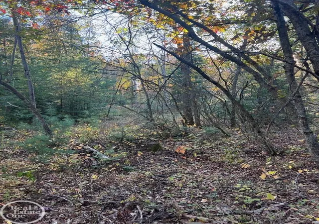 2nd image of 00 Lansing Rd, Roscommon, MI 48653 | MLS# 58050217783