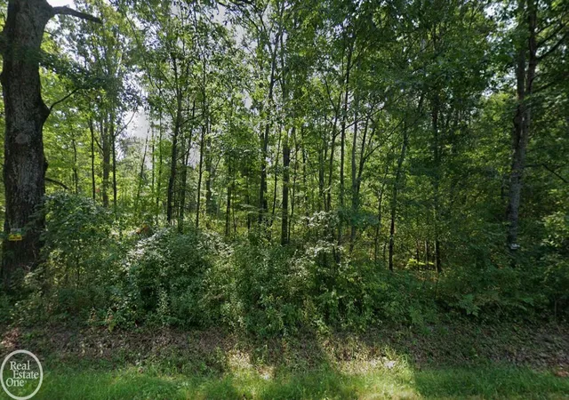 Photo 3 of Land for sale at 00 Lansing Rd, Roscommon, MI 48653 | MLS# 58050217783 | Listing updated on 2026-08-07