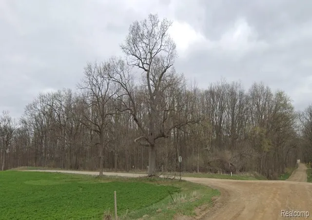 Photo 2 of Land for sale at V/l N Lima Ctr Rd, Dexter, MI 48130 | MLS# 20261062351 | Listing updated on 2026-08-07