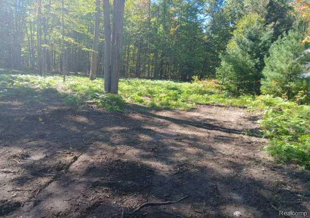 1st image of 0 Goldenrod Dr Dr, Houghton Lake, MI 48629 | MLS# 20261062353