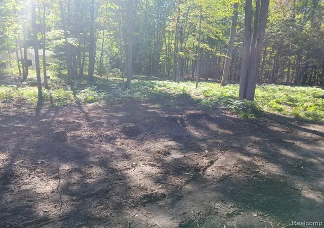 2nd image of 0 Goldenrod Dr Dr, Houghton Lake, MI 48629 | MLS# 20261062353