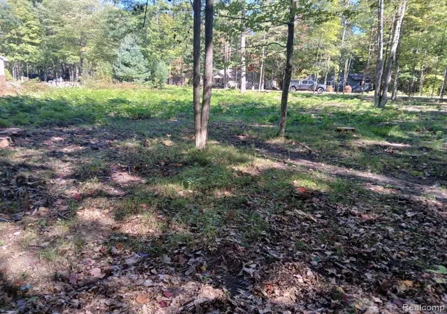 3rd image of 0 Goldenrod Dr Dr, Houghton Lake, MI 48629 | MLS# 20261062353