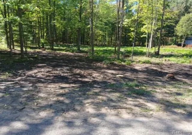 4th image of 0 Goldenrod Dr Dr, Houghton Lake, MI 48629 | MLS# 20261062353