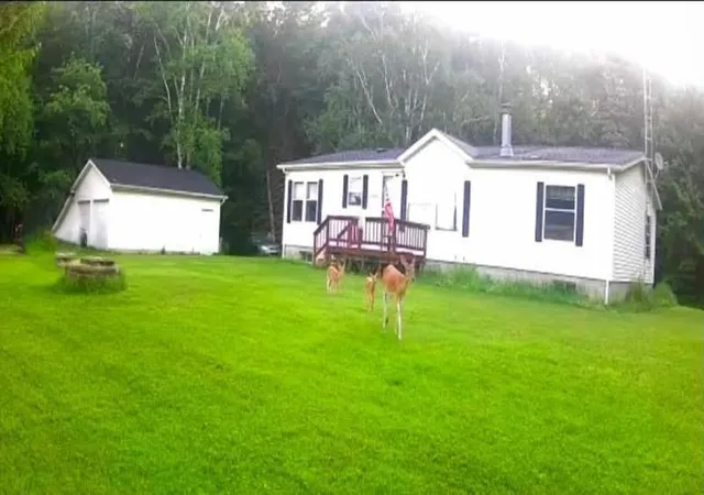 1st image of 5800 Brining Rd, Port Hope, MI 48468 | MLS# 81026041448