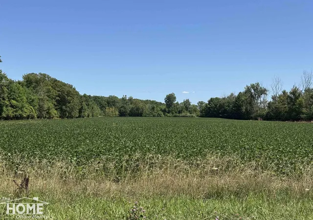 Land for sale at Vacant Webster, MtMorrisTownship_Genesee, MI 48458 | MLS# 5050217861