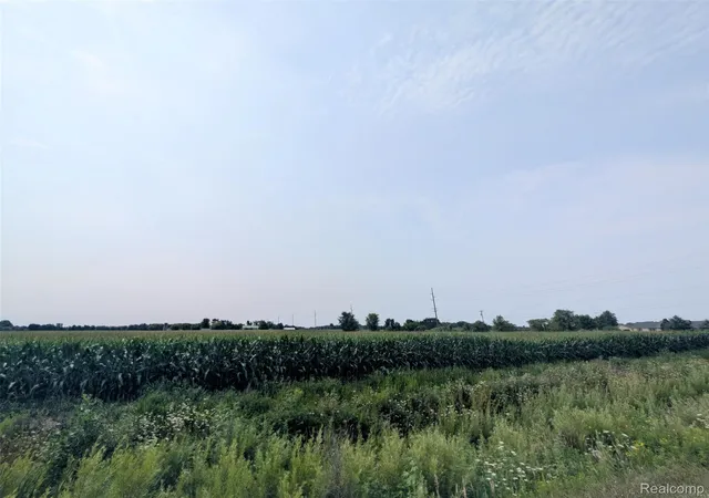 Photo 3 of Land for sale at Vl Brown Rd, Greenwood Township St Clair, MI 48006 | MLS# 20261062843 | Listing updated on 2026-08-14